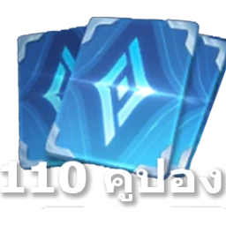 110 คูปอง ROV